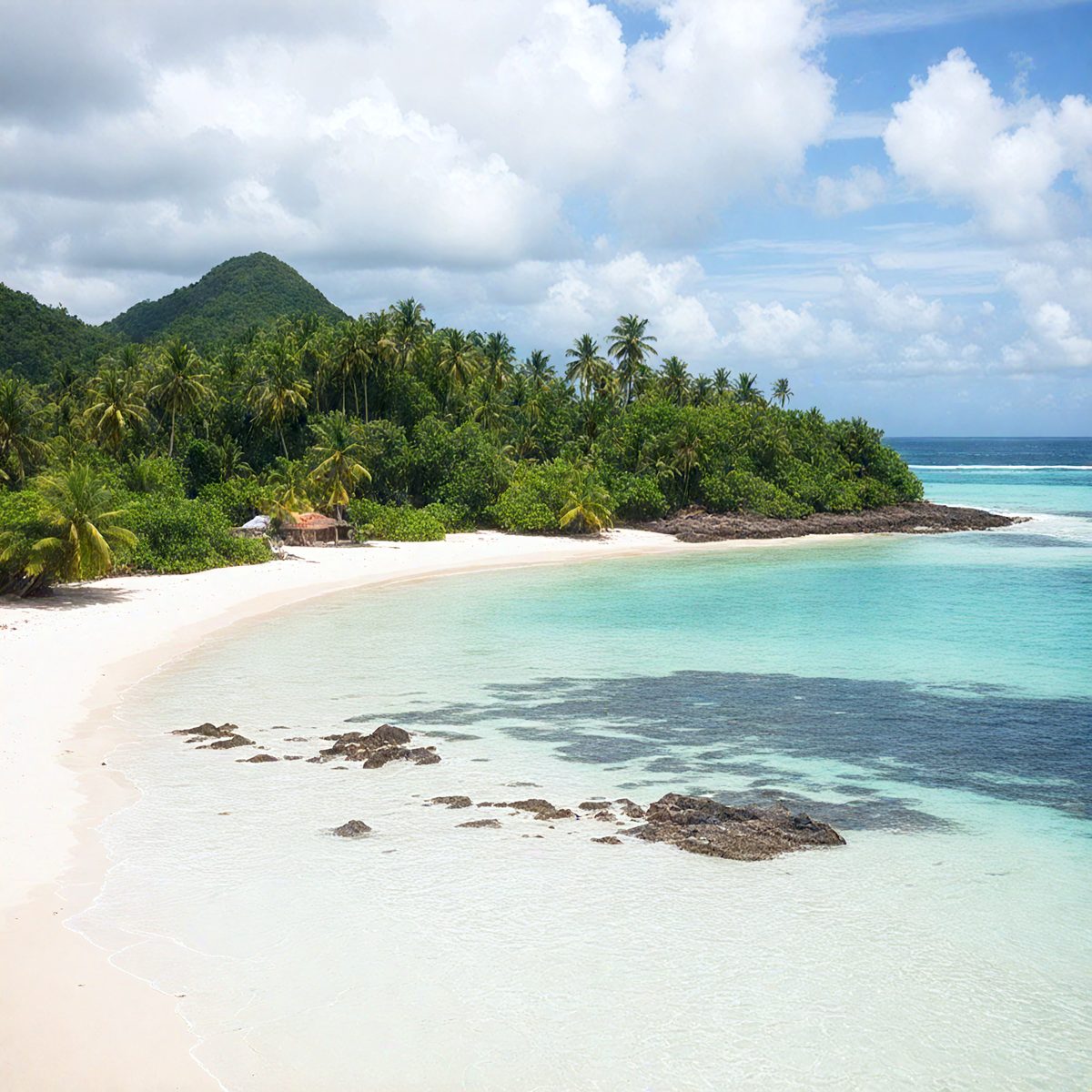 7c46b804-0d95-444c-b827-b5a34d71b5fa-island-comoros-from-the-inside-77aec4_250318183848_Filename Text 2_02324_Filename Text 3_result.jpg